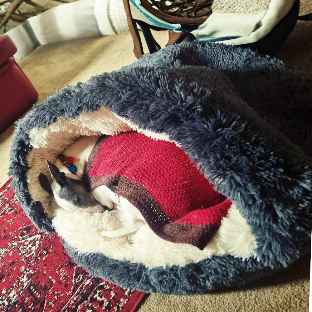 🐾 The SNUGGLES Cove - The Ultimate 2-in-1 Pet Bed!