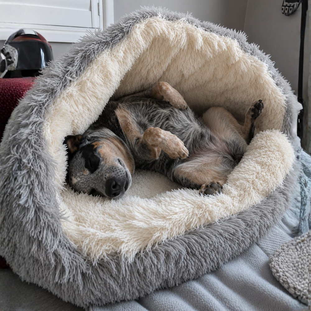 🐾 The SNUGGLES Cove - The Ultimate 2-in-1 Pet Bed!