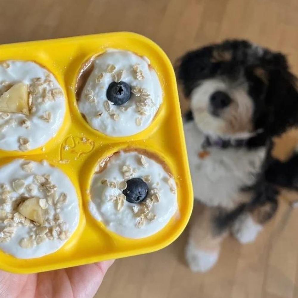 🐾 The Aussie PUPSICLE — Australia’s #1 Dog Enrichment Solution!