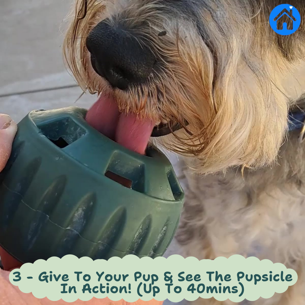 🐾 The Aussie PUPSICLE — Australia’s #1 Dog Enrichment Solution!