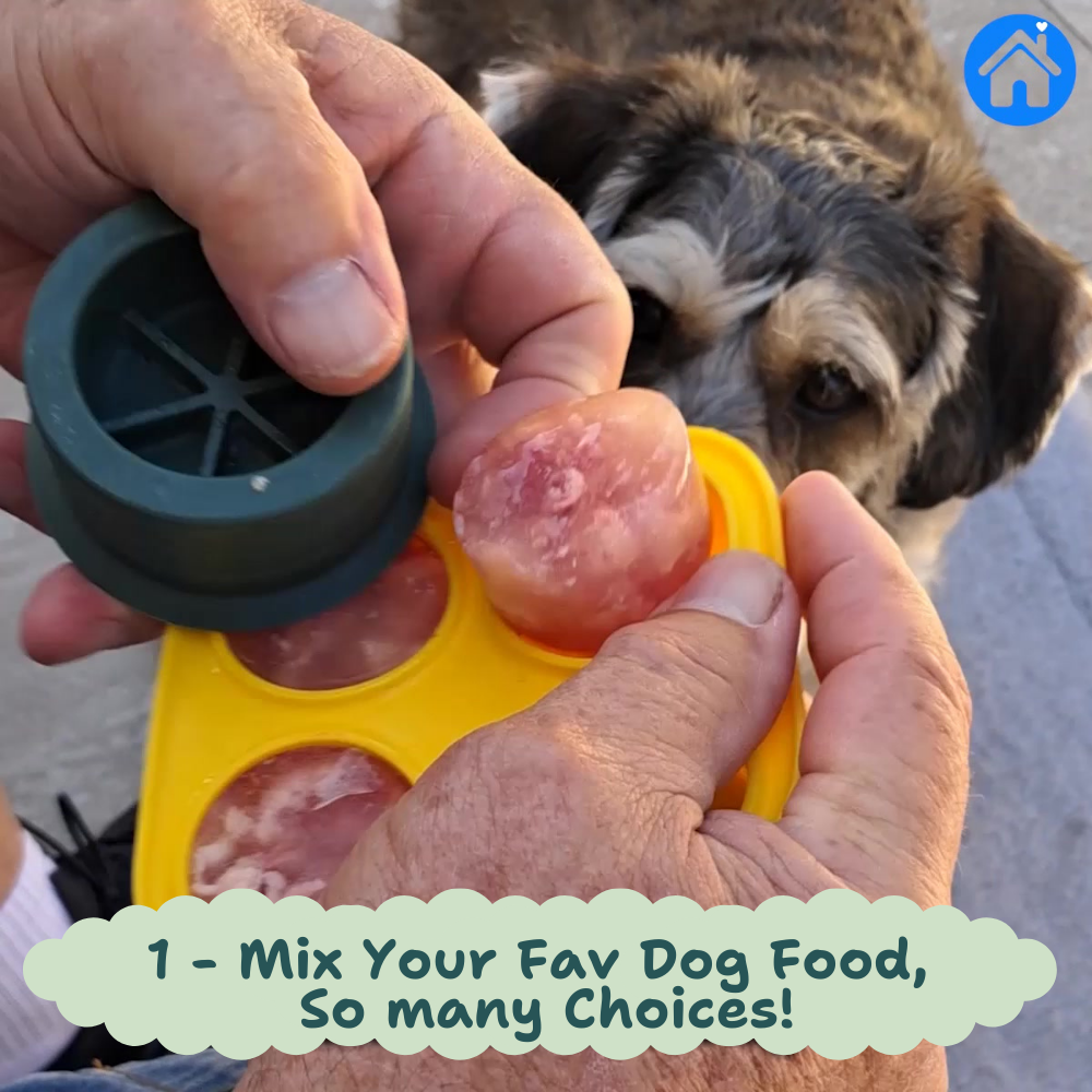 🐾 The Aussie PUPSICLE — Australia’s #1 Dog Enrichment Solution!