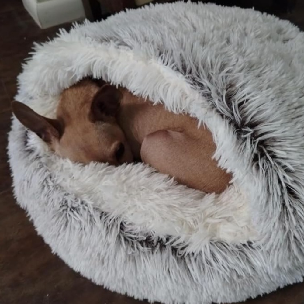 🐾 The SNUGGLES Cove - The Ultimate 2-in-1 Pet Bed!