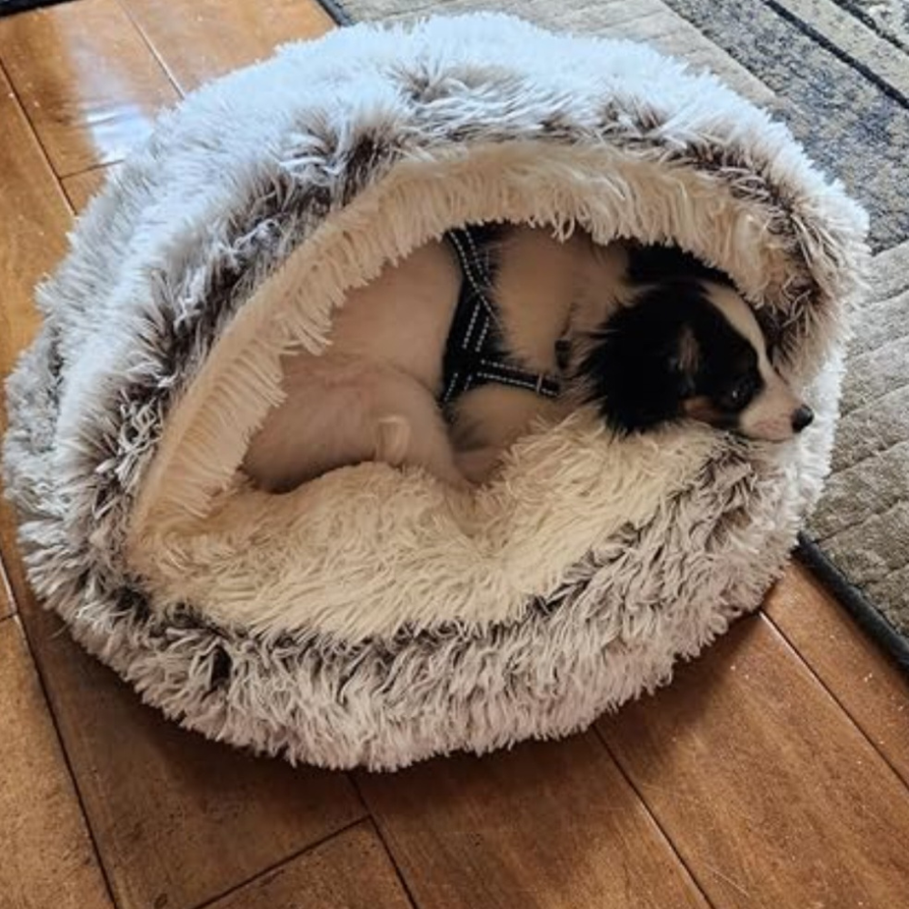 🐾 The SNUGGLES Cove - The Ultimate 2-in-1 Pet Bed!