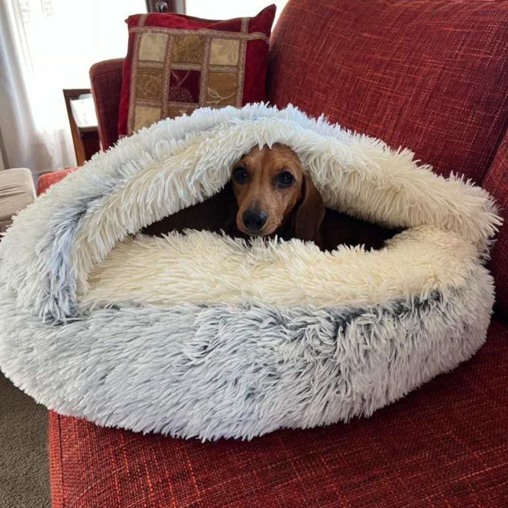 🐾 The SNUGGLES Cove - The Ultimate 2-in-1 Pet Bed!