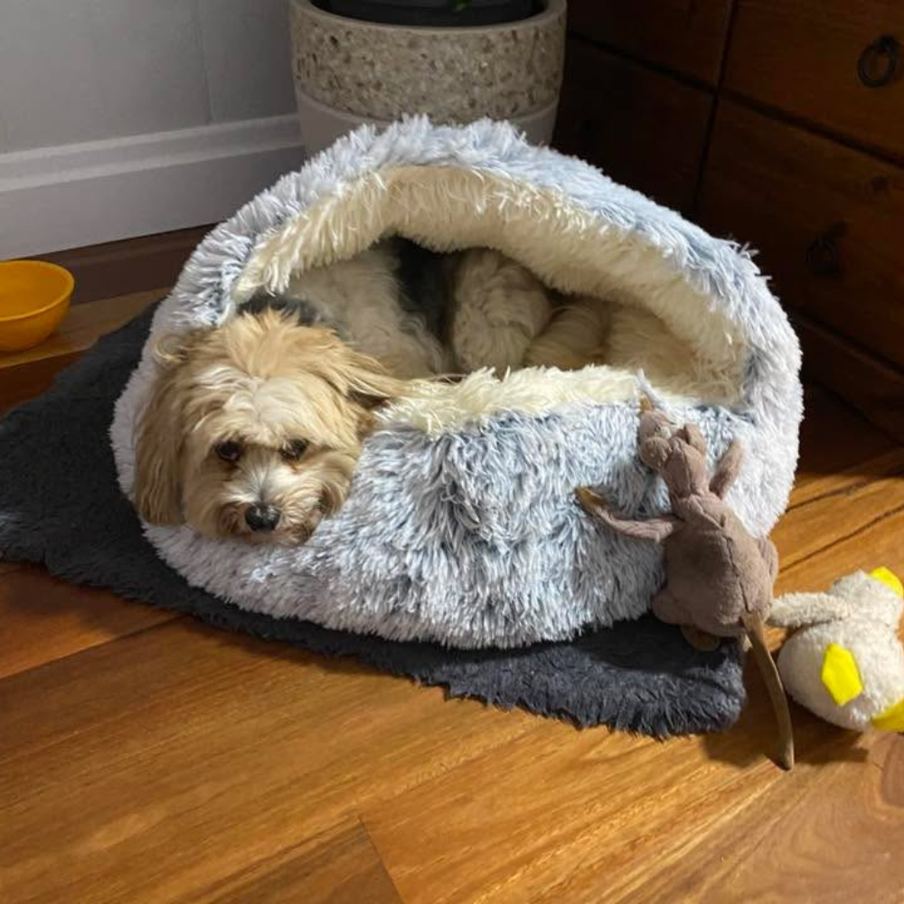 🐾 The SNUGGLES Cove - The Ultimate 2-in-1 Pet Bed!