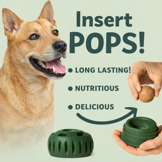 🐾 The Aussie PUPSICLE — Australia’s #1 Dog Enrichment Solution!