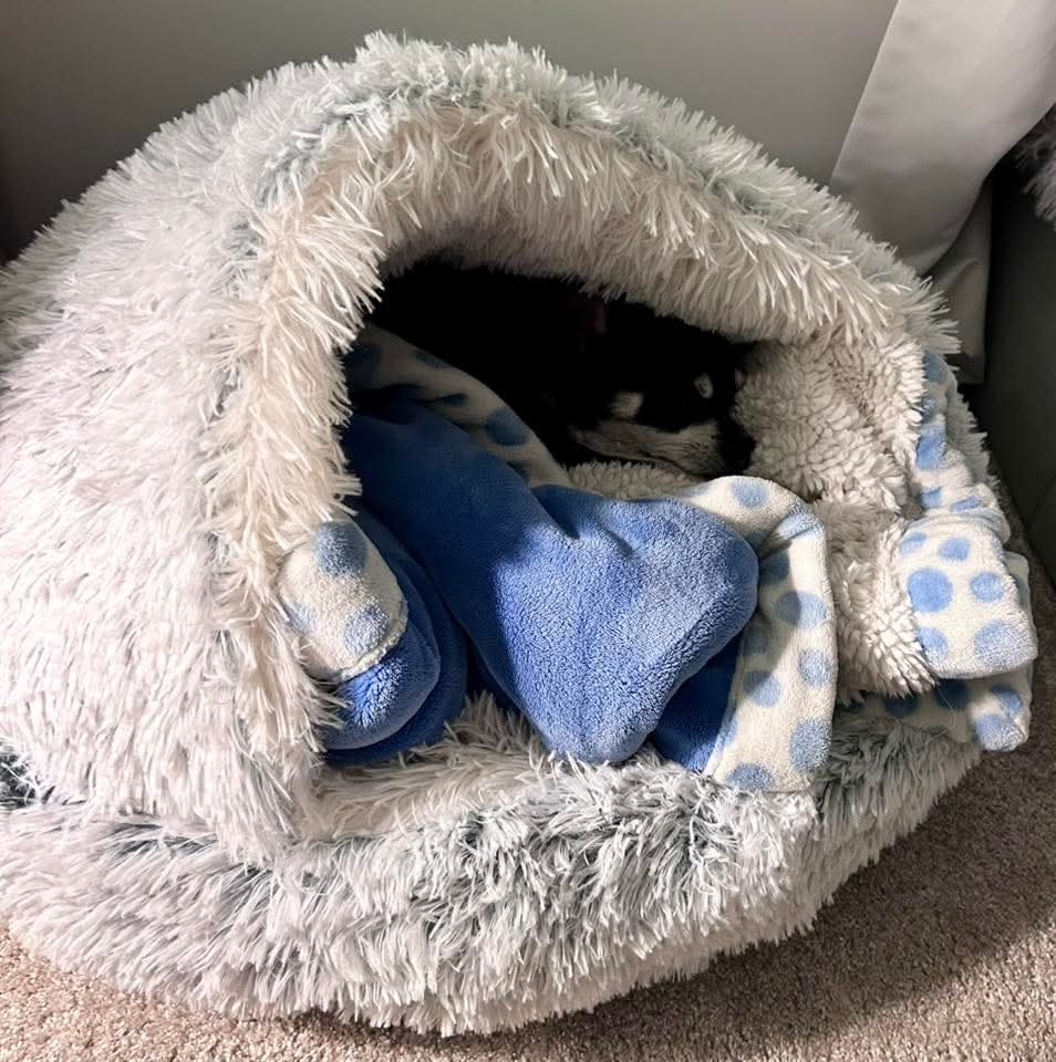 🐾 The SNUGGLES Cove - The Ultimate 2-in-1 Pet Bed!