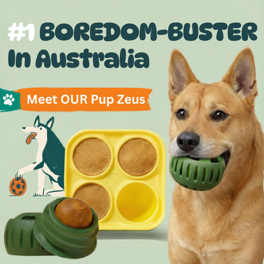 🐾 The Aussie PUPSICLE — Australia’s #1 Dog Enrichment Solution!
