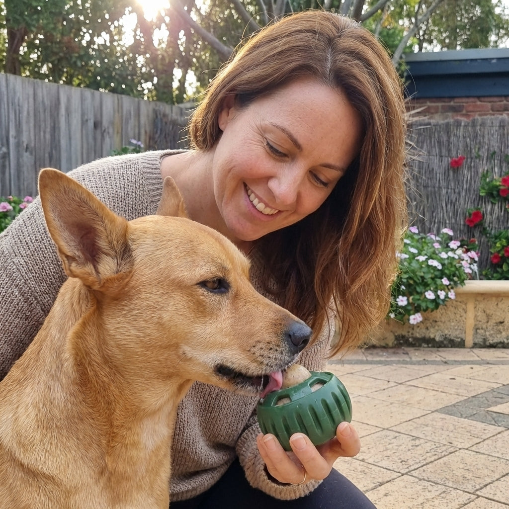 🐾 The Aussie PUPSICLE — Australia’s #1 Dog Enrichment Solution!